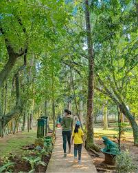 Taman Kota 1 - Fasilitas Jogging Track